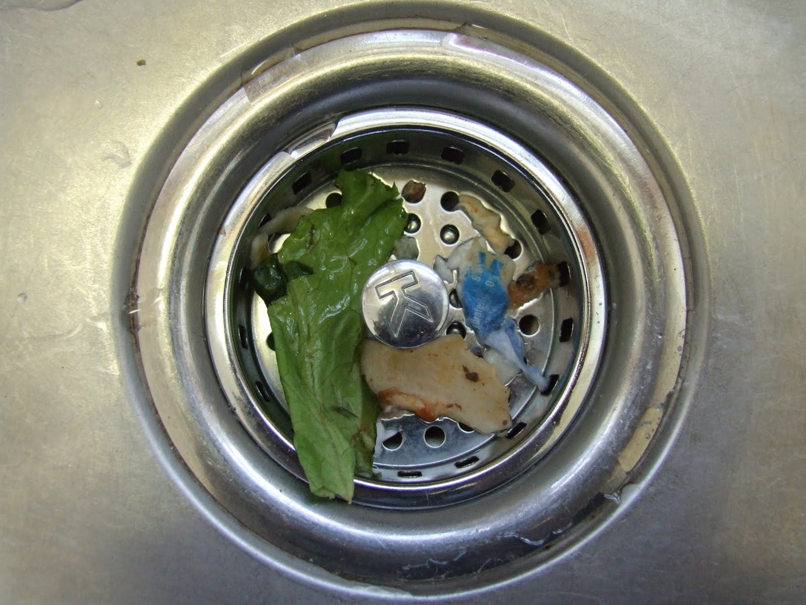 Reflections in the Kitchen Sink » Hiking Toward Home