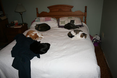 The Incredible Weirdness of Being...: December 2009
