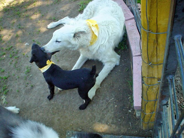 [DSC07378_edited.JPG]