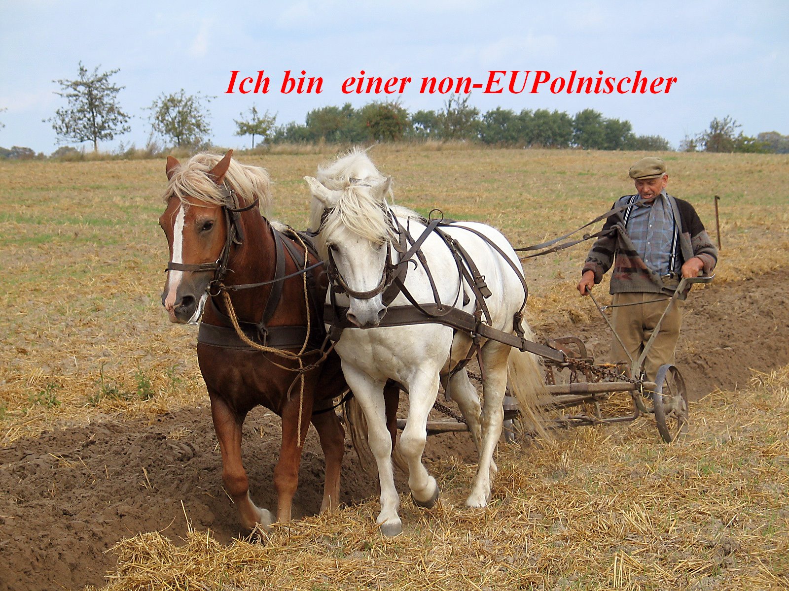 [Farmer_plowing2.jpg]