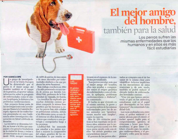 LOS PERROS Y NUESTRA SALUD