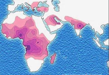 Sickle_cell_anaemia_distribution.jpg