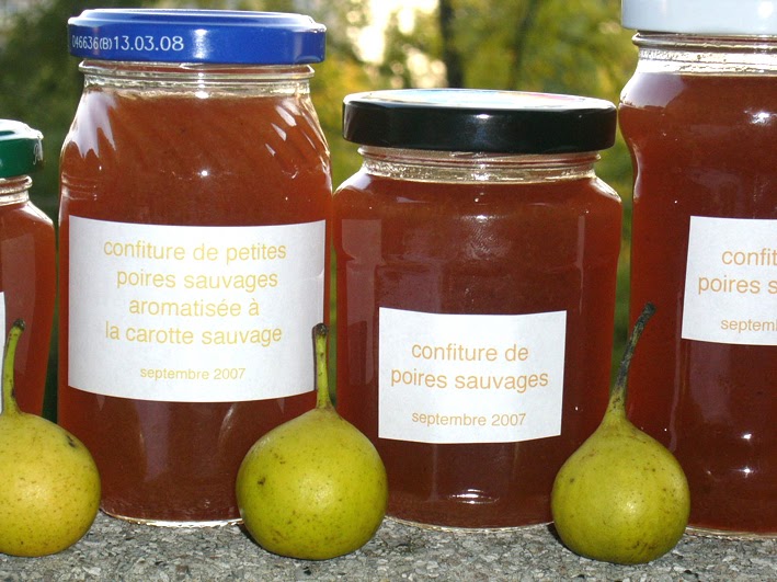 cuisine sauvage confiture de poires sauvages