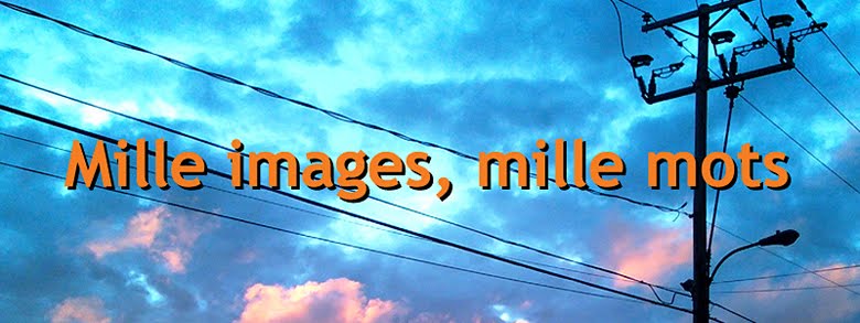 Mille images, mille mots