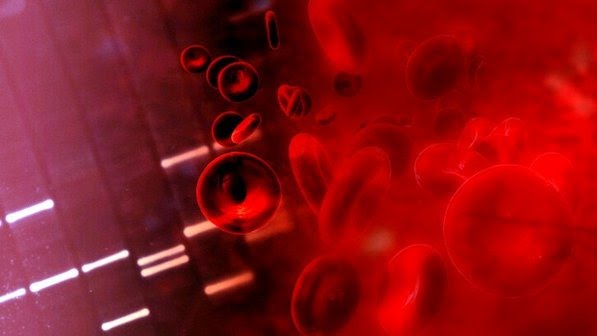 Hdl exame de sangue