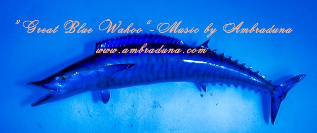 "Great Blue Wahoo" - briiliant music!