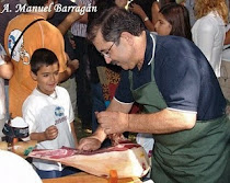 Propuesta para que el entorno de Ermita se denomine «Plaza de Victoriano Contreras Barragán»