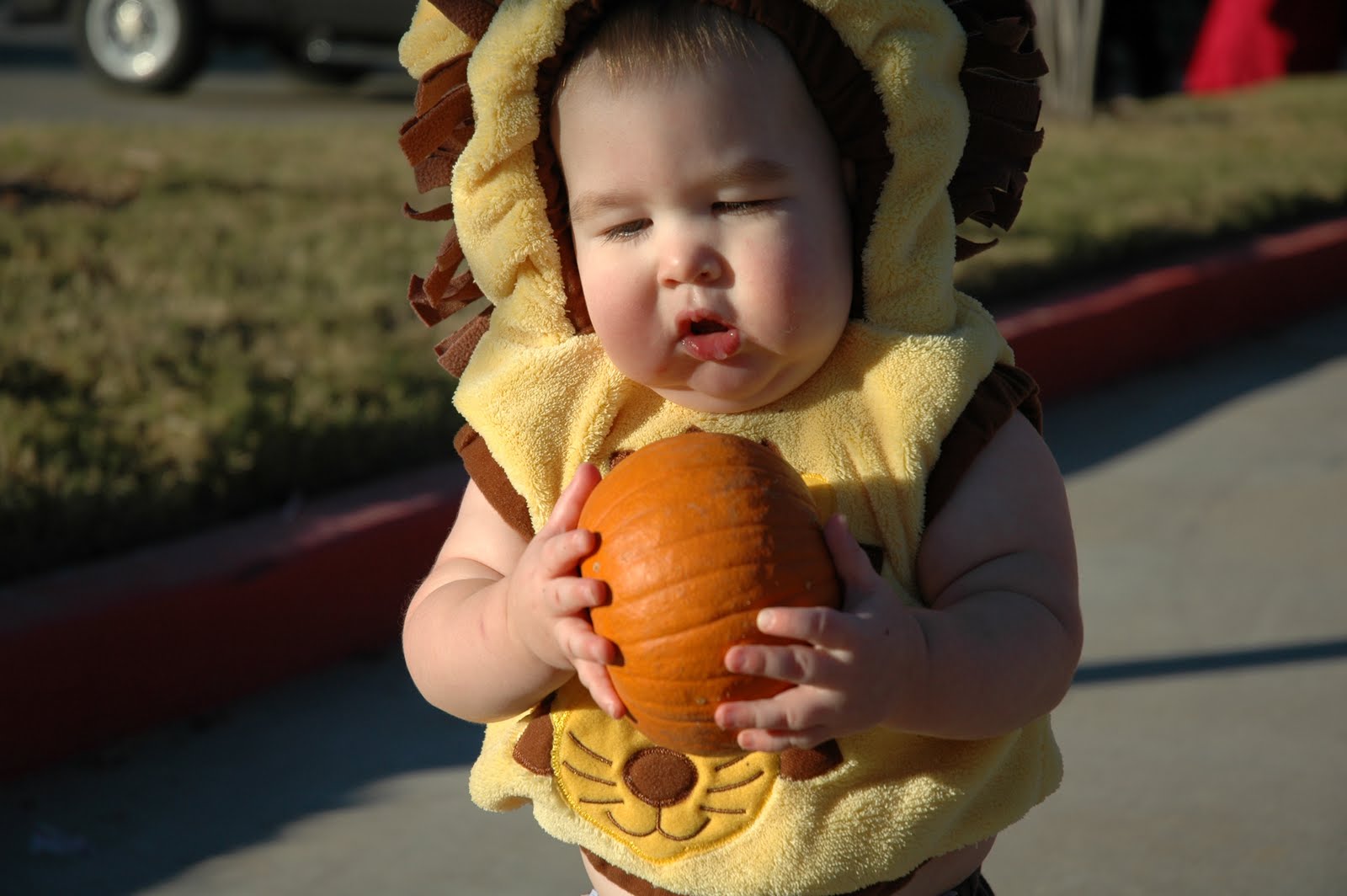 [DSC_0014.JPG]