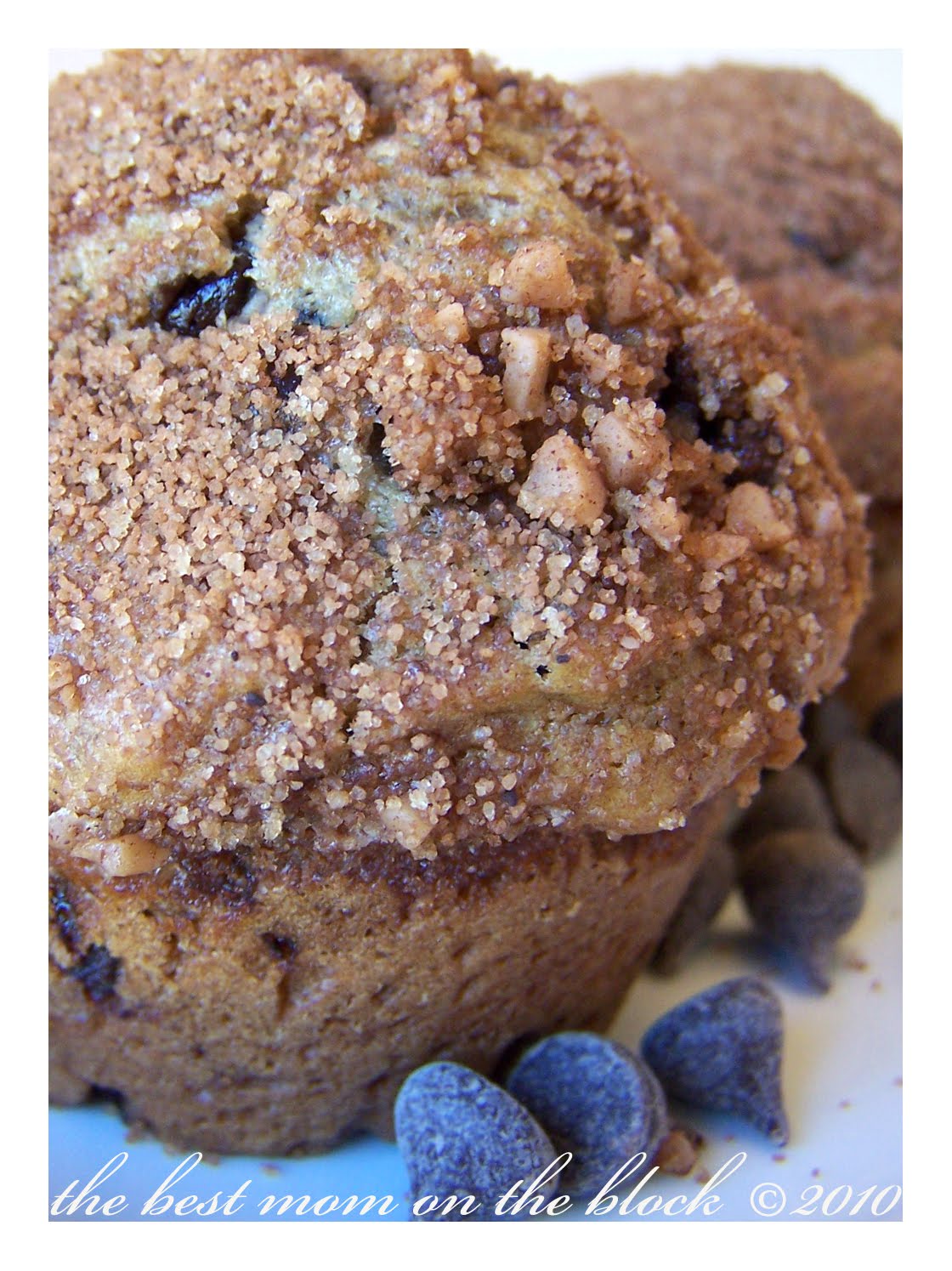 The Best Mom on the Block Chocolate Chip Coffee Muffins with Cinnamon