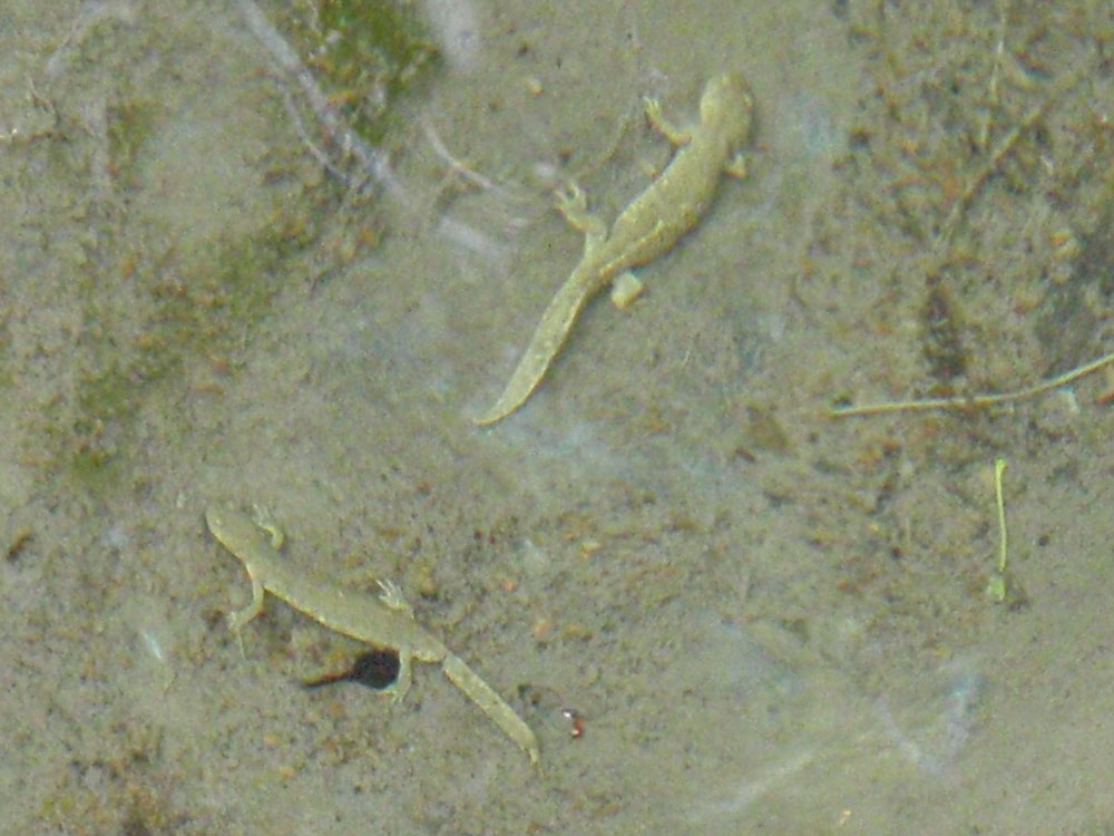 [P7101822.JPG]