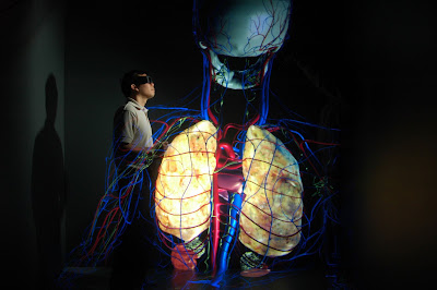 atlas anatomia
