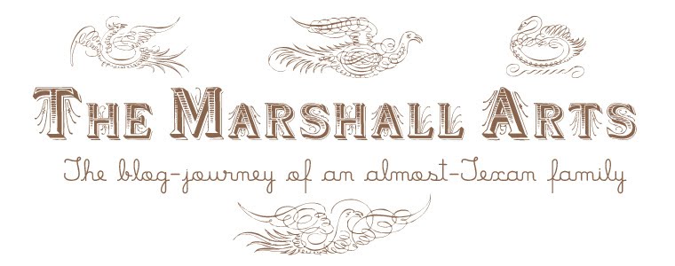 The Marshall Arts