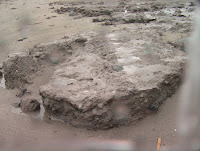 舊建物廢棄的石塊任意堆埋在沙灘上，  被颱風大雨沖刷過後露出的殘骸-2 (照片由台東環境保護聯盟提供)