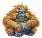 [gorilla.jpg]