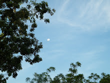 DAY MOON
