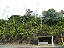 SLOPE PLANTING