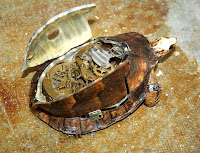 steampunk taxidermy, fixed - turtle