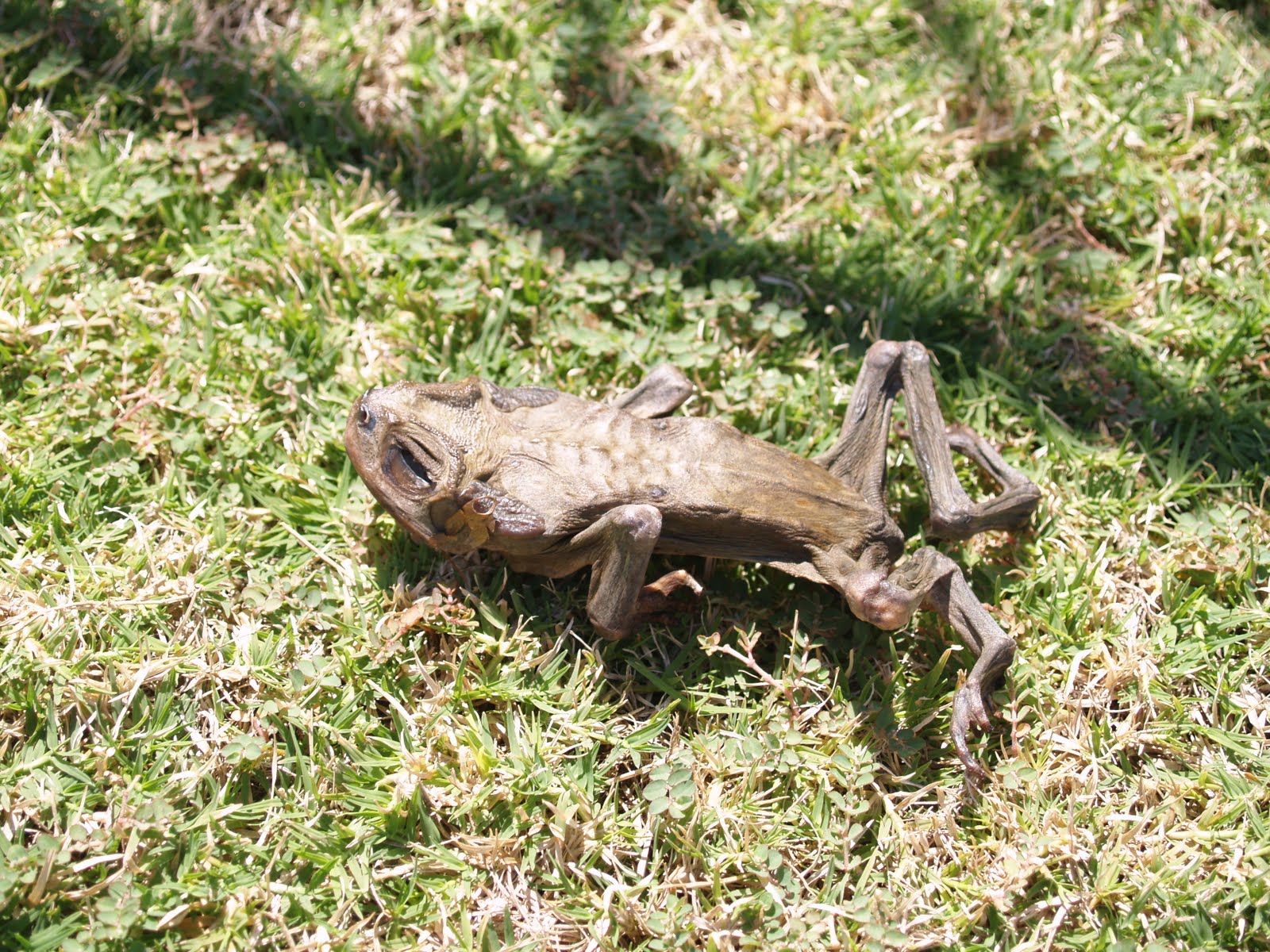 Putting myself out there.....: September 2010