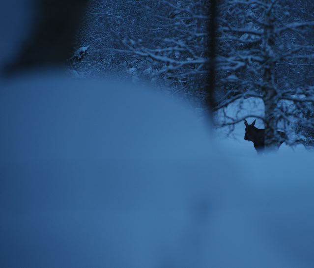 [SafeRedirect+2.aspx]