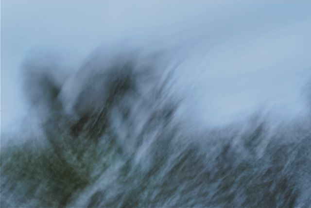[DSC_7516_2.jpg]