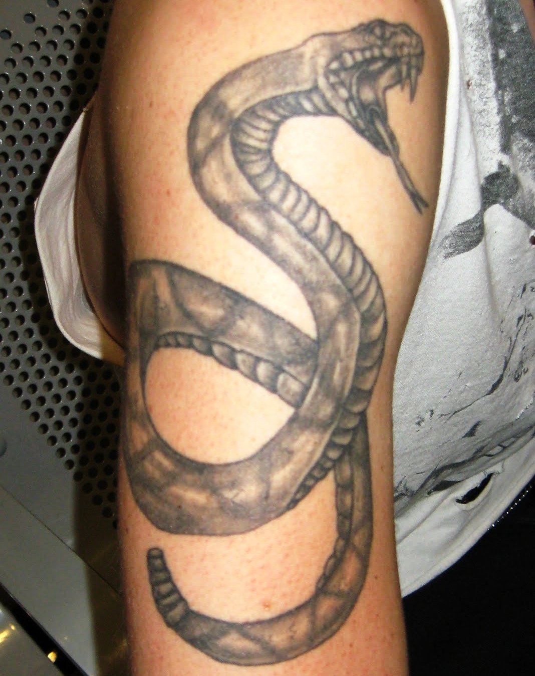 Snake Tattoo Designing