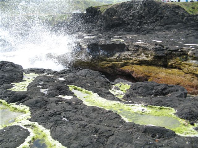 [IMG_5287.JPG]