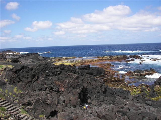 [100_8596.JPG]