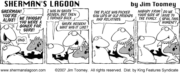 comic pictures of sharks comic pictures of sharks