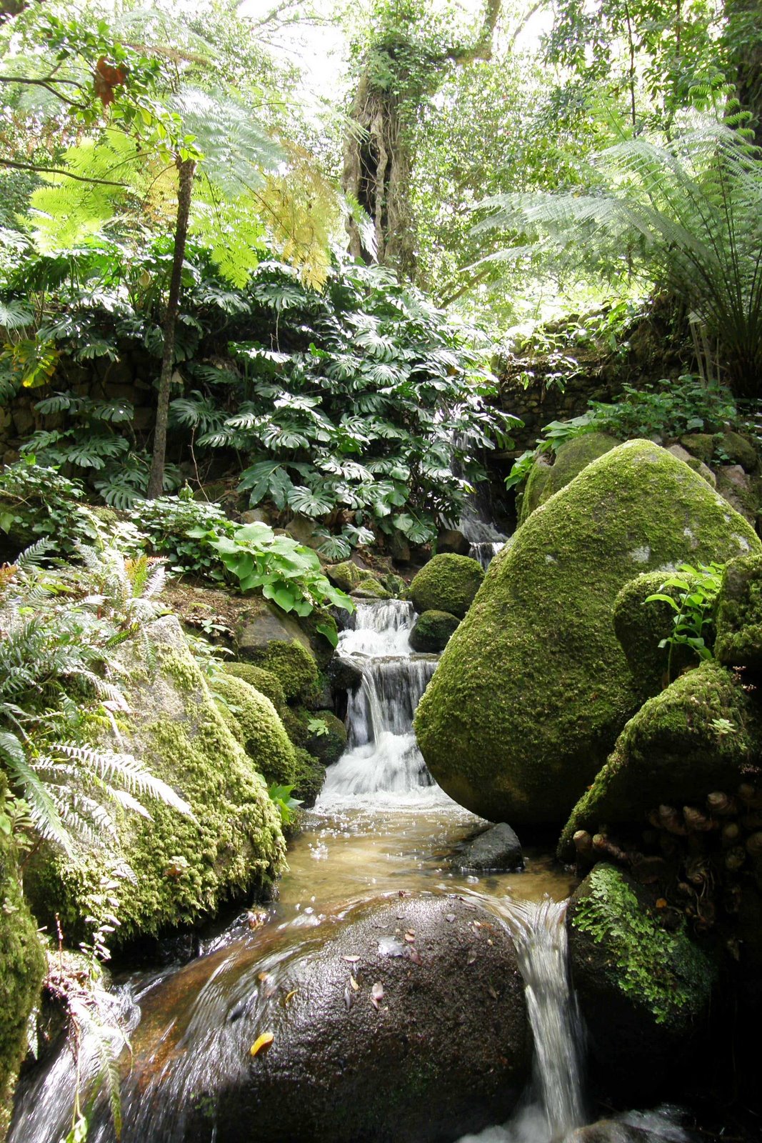 [Parque+de+Monserrate+(77).JPG]