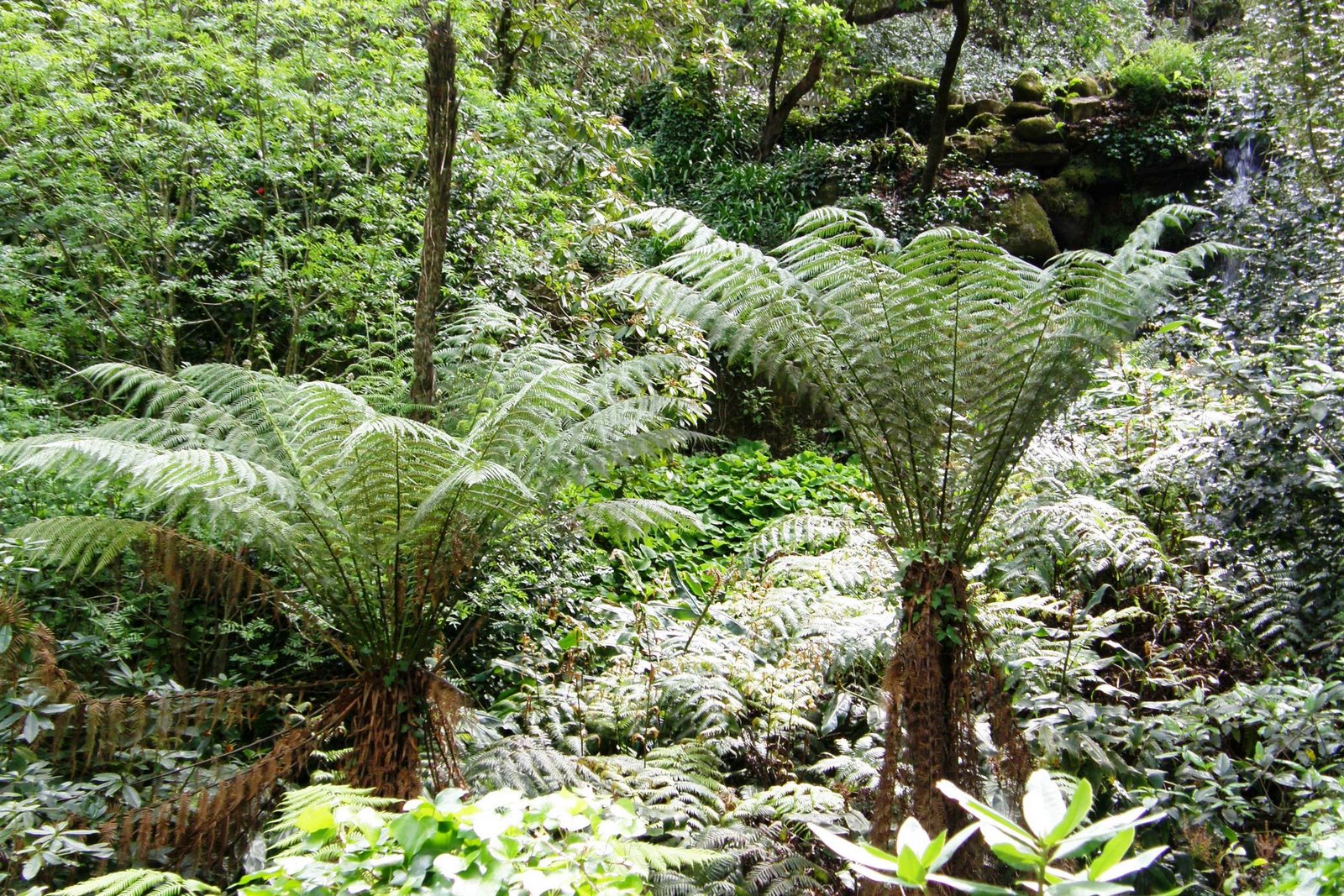 [Parque+de+Monserrate+(34).JPG]