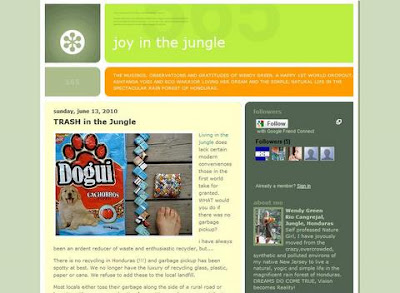 Joy in the Jungle blog