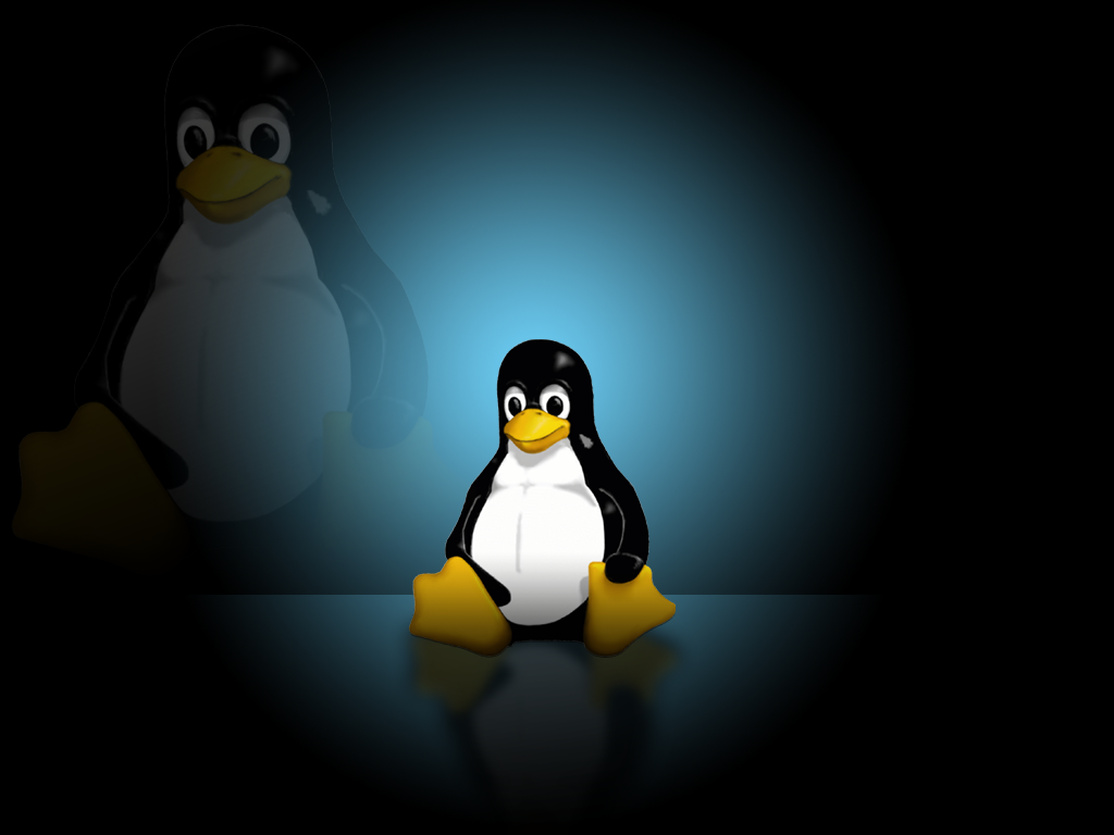 http://4.bp.blogspot.com/_c5YmLUlKDfM/TLtZZ4ini_I/AAAAAAAAAAU/jMsdJdkDc-s/s1600/linux-wallpaper-1024x768-tux-blue%5B1%5D.png