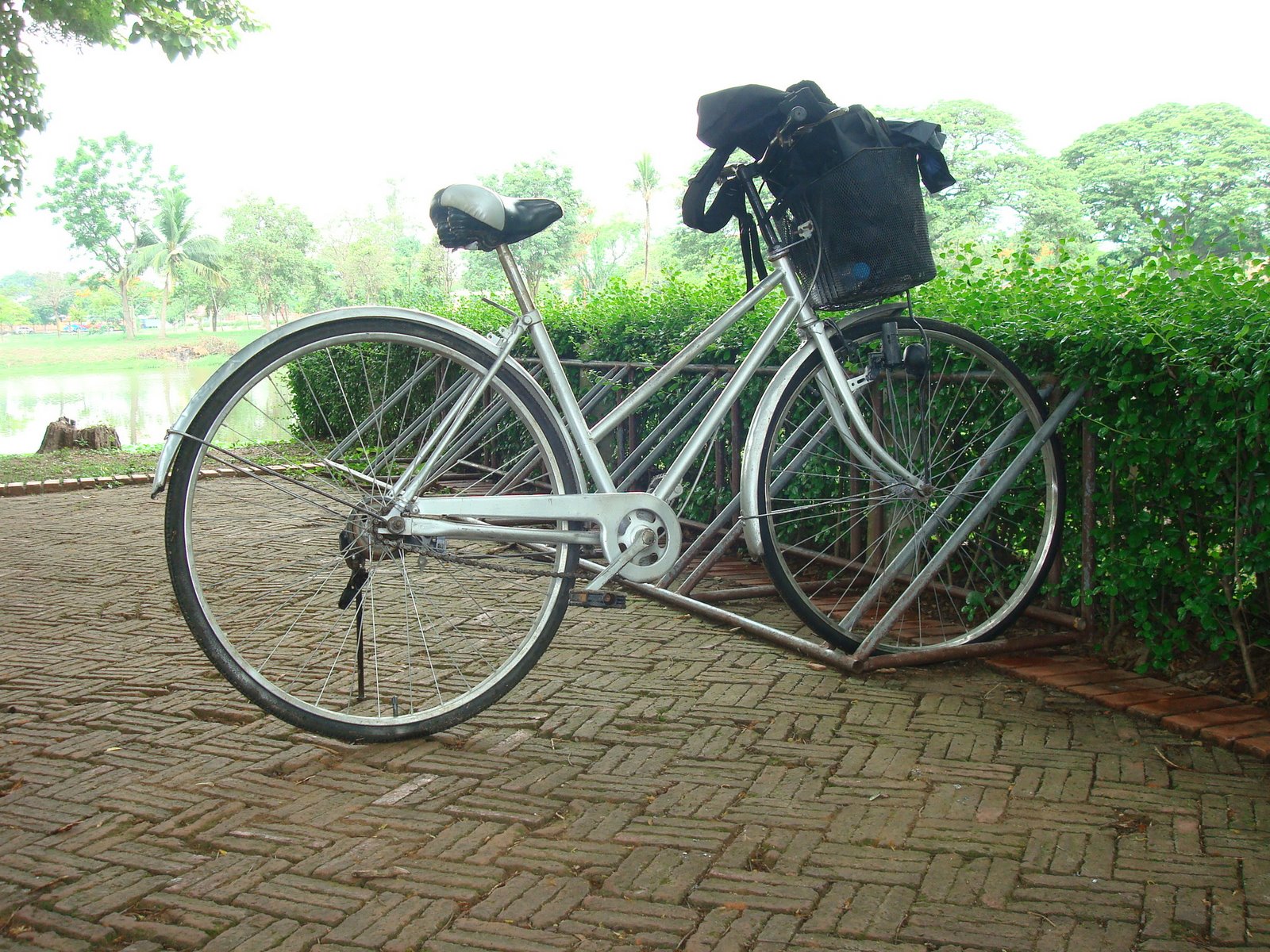 [DSC00801.JPG]
