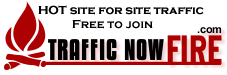 TRAFFIC FOR YOUR SITE