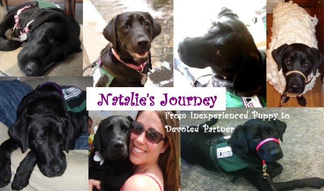 Natalie's Journey