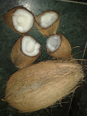 Small and Big Coconuts
