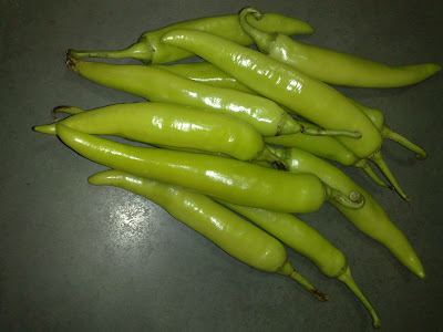 Green Chili Pepper