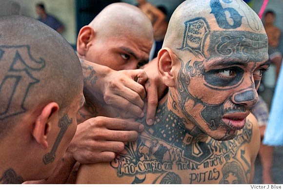 Mexico Gang War
