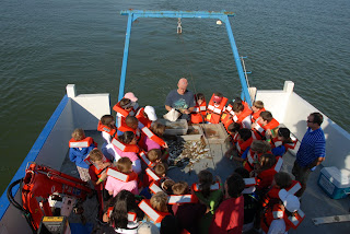 Montgomery Catholic&#039;s Elementary Science Olympiad Goes On A Dauphin Island Adventure 1