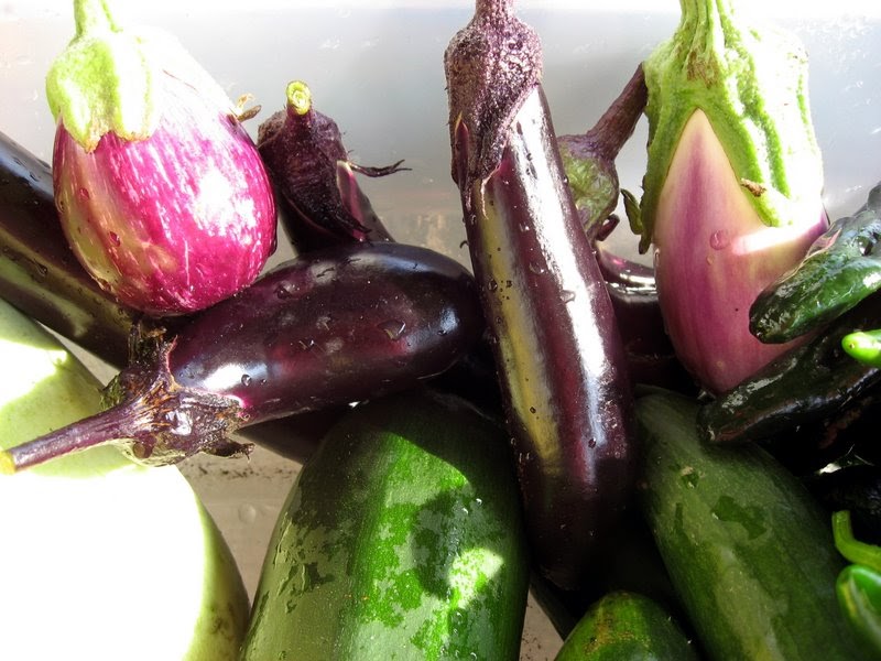 Fresh is Best Eggplant of a different color
