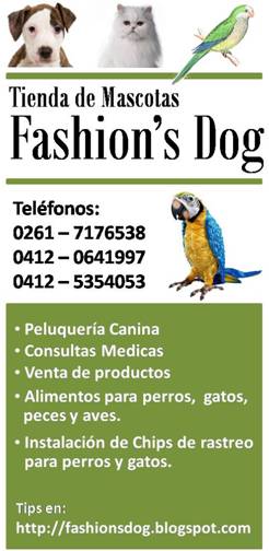 FASHIONS DOG