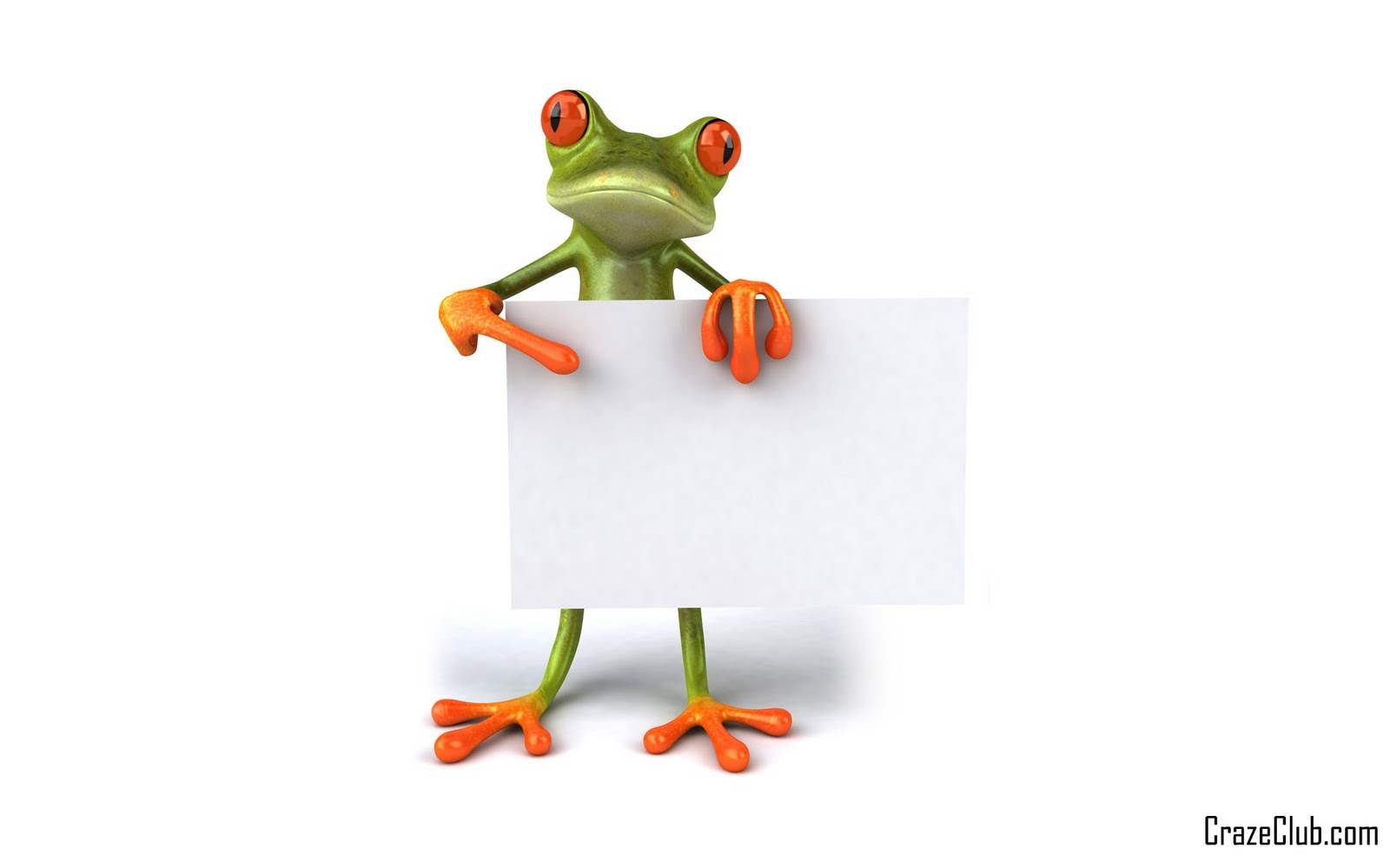 Embed code for your blog website orkut facebook hi5 or etc Embed code for your blog website orkut facebook hi5 or etc