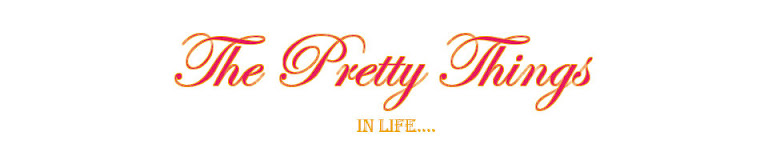 The Pretty Things In Life