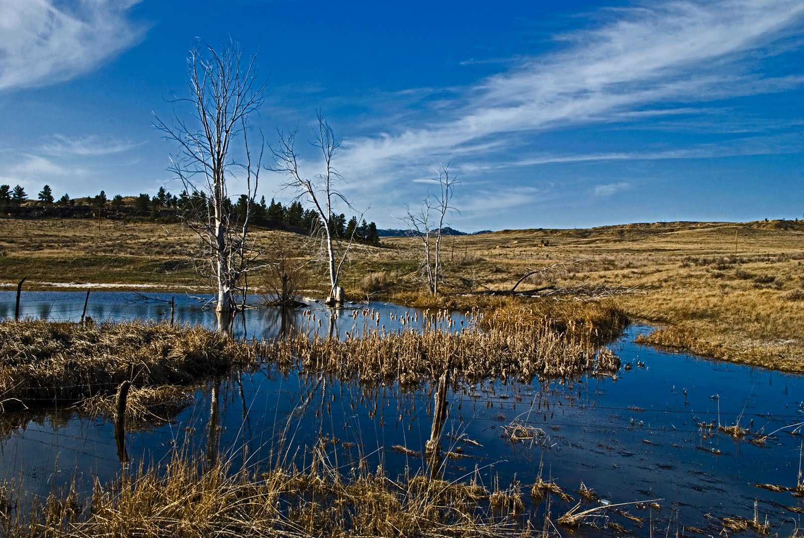 Glory of the West 9. Powder River County