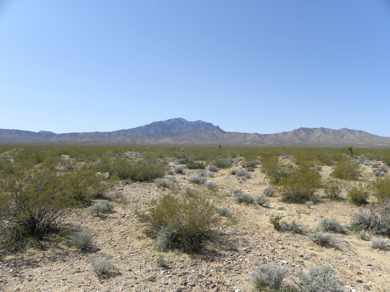 Mojave Desert Blog October 2010 Mojave Desert Blog October 2010