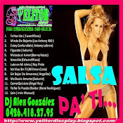 salsa 2010