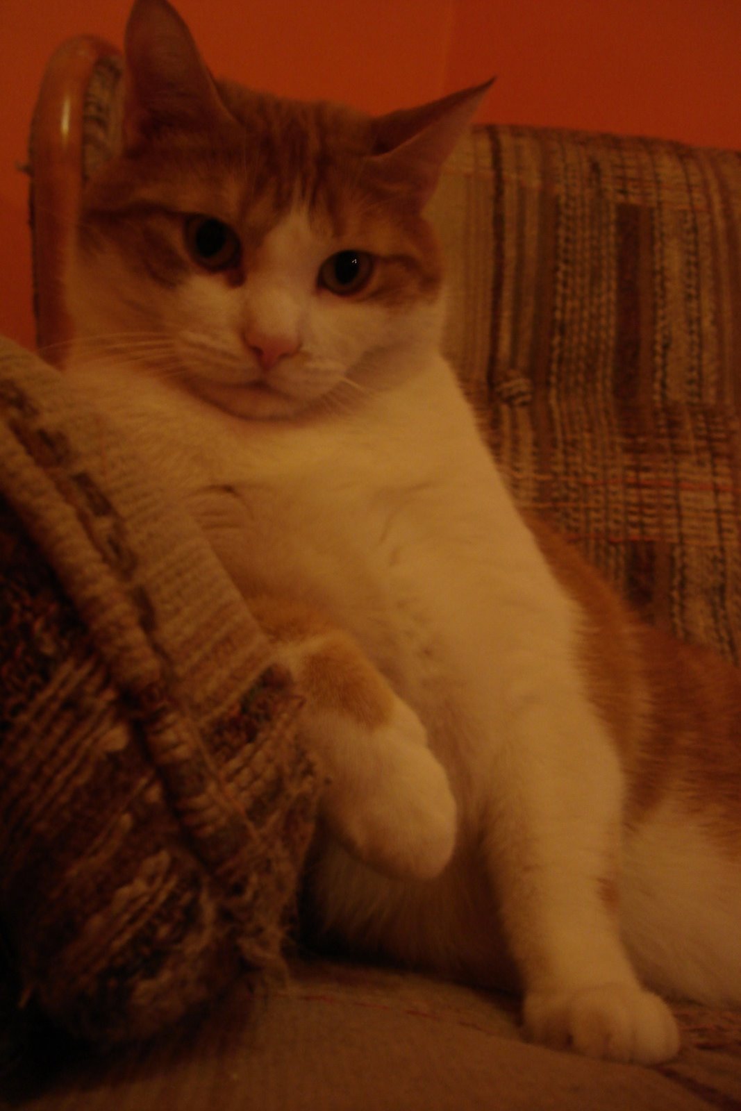 [DSC05143.JPG]