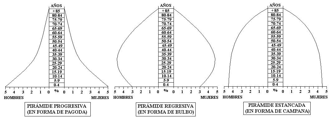 COMO SE ESTRUCTURA LA POBLACION como se estructura la poblacion: