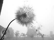 Minha foto