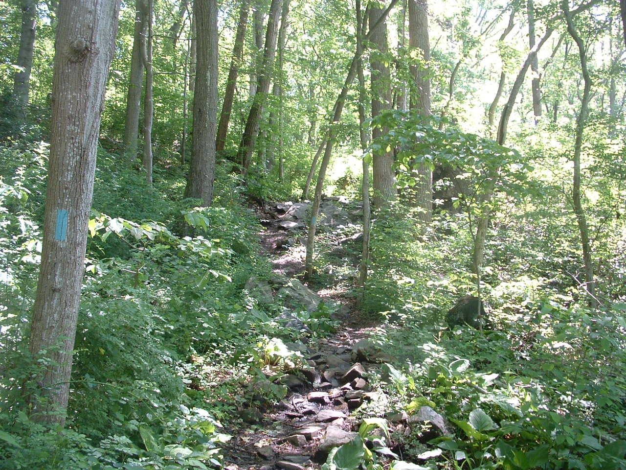 Geomancy Gunpowder Falls State Park The Pot Rocks
